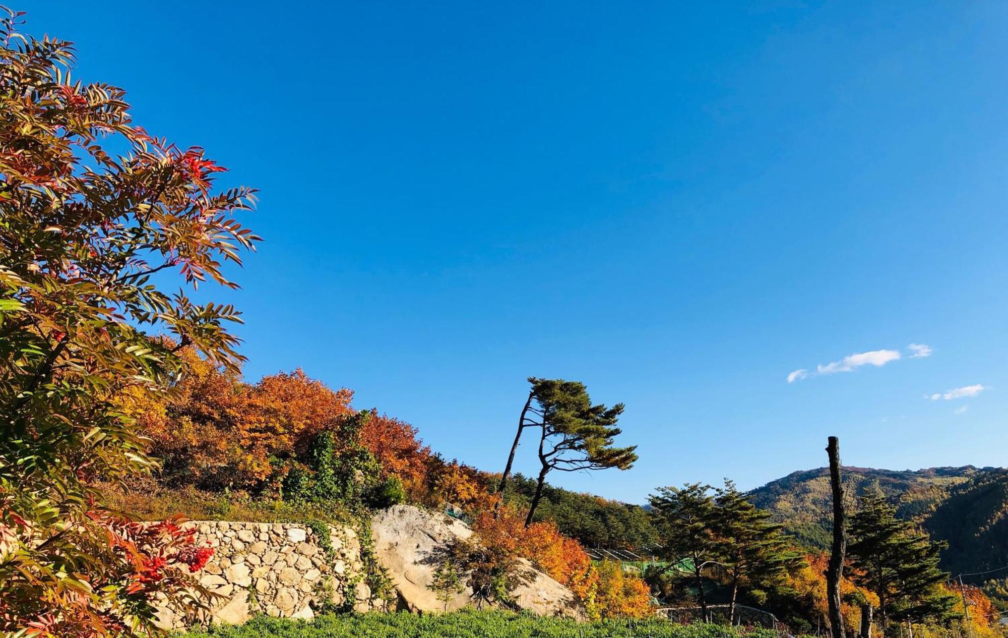 Byeoldeul-Ui Gichim Pension Inje エクステリア 写真